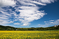 18.大曲湖畔園地